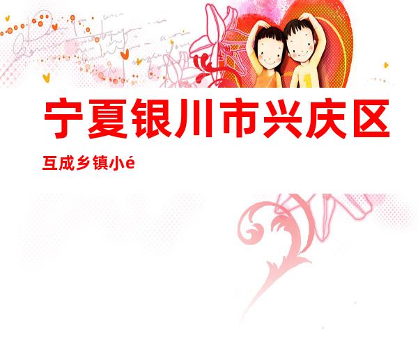 宁夏银川市兴庆区互成乡镇小额贷款有限公司